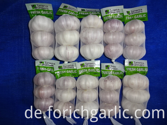 Normal White Garlic